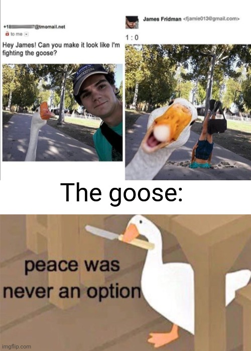 Rekt | The goose: | image tagged in untitled goose peace was never an option,memes,james fridman,photoshop | made w/ Imgflip meme maker