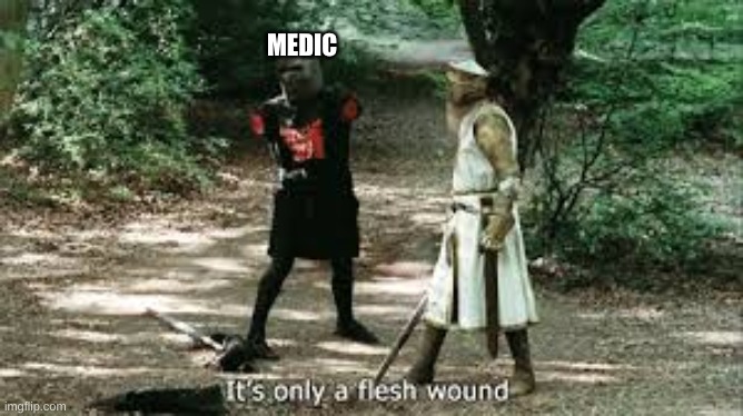 It's Just a Flesh Wound | MEDIC | image tagged in it's just a flesh wound | made w/ Imgflip meme maker