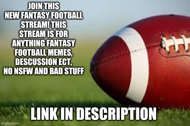 JOIN THE NEW FANTASY FOOTBALL STREAM | JOIN THIS NEW FANTASY FOOTBALL STREAM! THIS STREAM IS FOR ANYTHING FANTASY FOOTBALL MEMES, DESCUSSION ECT, NO NSFW AND BAD STUFF; LINK IN DESCRIPTION | image tagged in football field,memes,fantasy football | made w/ Imgflip meme maker