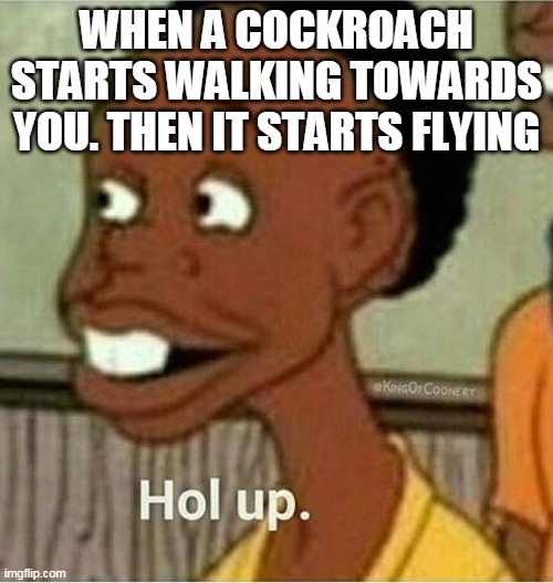 0-0 | WHEN A COCKROACH STARTS WALKING TOWARDS YOU. THEN IT STARTS FLYING | image tagged in hol up | made w/ Imgflip meme maker