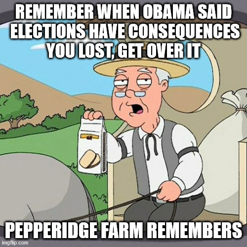 Pepperidge Farm Remembers | REMEMBER WHEN OBAMA SAID
 ELECTIONS HAVE CONSEQUENCES
YOU LOST, GET OVER IT; PEPPERIDGE FARM REMEMBERS | image tagged in memes,pepperidge farm remembers,barack obama,crying democrats,stupid liberals,liberal hypocrisy | made w/ Imgflip meme maker