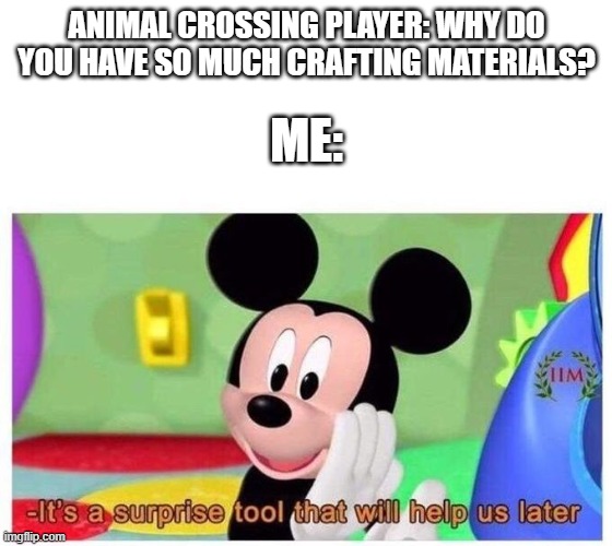 Ran out of ideas... | ANIMAL CROSSING PLAYER: WHY DO YOU HAVE SO MUCH CRAFTING MATERIALS? ME: | image tagged in it's a surprise tool that will help us later,animal crossing | made w/ Imgflip meme maker