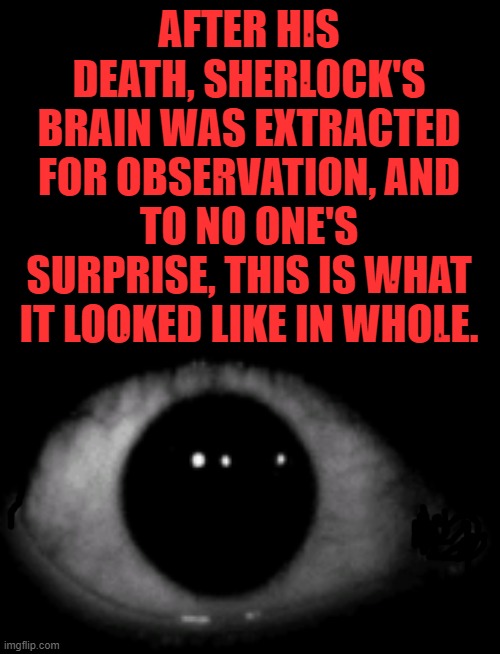 Dark Net Dark Webbers B Leyeke | AFTER HIS DEATH, SHERLOCK'S BRAIN WAS EXTRACTED FOR OBSERVATION, AND TO NO ONE'S SURPRISE, THIS IS WHAT IT LOOKED LIKE IN WHOLE. | image tagged in dark net dark webbers b leyeke | made w/ Imgflip meme maker