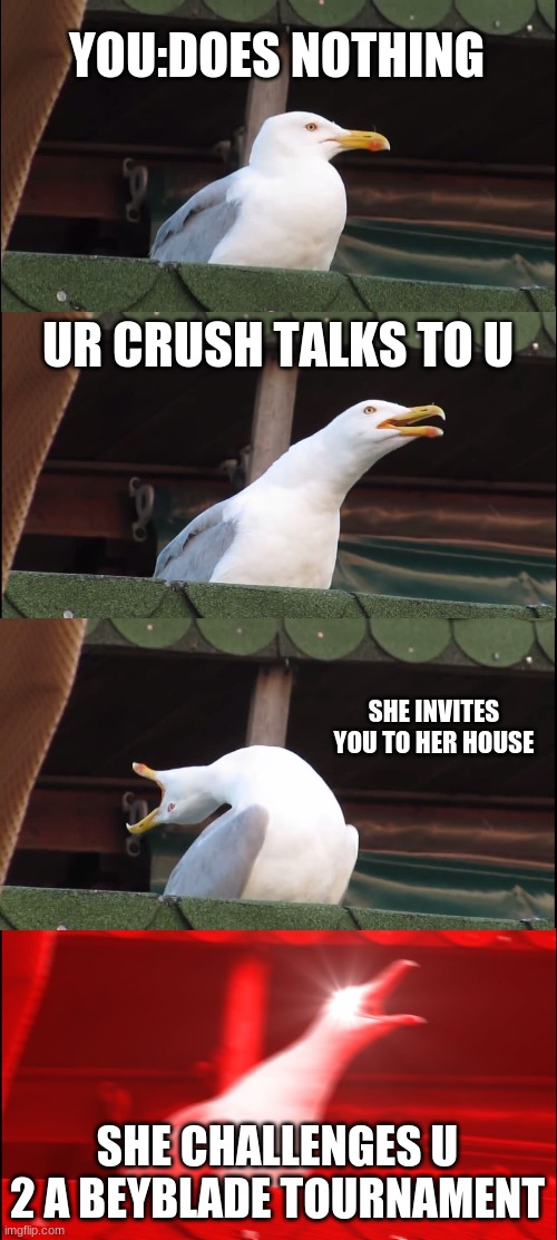 Inhaling Seagull Meme | YOU:DOES NOTHING; UR CRUSH TALKS TO U; SHE INVITES YOU TO HER HOUSE; SHE CHALLENGES U 2 A BEYBLADE TOURNAMENT | image tagged in memes,inhaling seagull | made w/ Imgflip meme maker