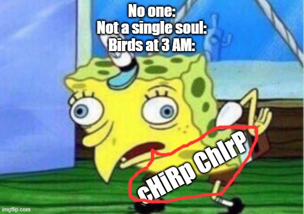 Mocking Spongebob | No one:
Not a single soul:
Birds at 3 AM:; cHiRp ChIrP | image tagged in memes,mocking spongebob,birds,oh boy 3 am,wtf | made w/ Imgflip meme maker