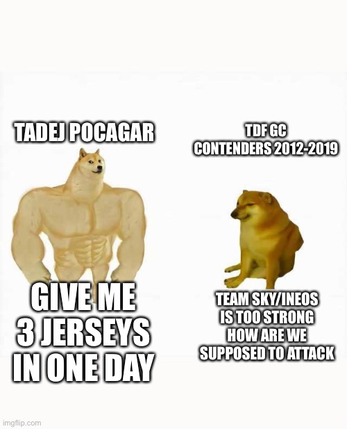 Strong dog vs weak dog | TADEJ POCAGAR; TDF GC CONTENDERS 2012-2019; GIVE ME 3 JERSEYS IN ONE DAY; TEAM SKY/INEOS IS TOO STRONG HOW ARE WE SUPPOSED TO ATTACK | image tagged in strong dog vs weak dog,pelotonmemes | made w/ Imgflip meme maker