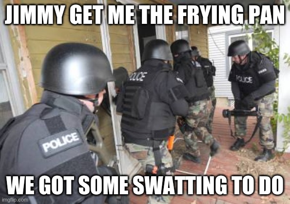 swat war | JIMMY GET ME THE FRYING PAN; WE GOT SOME SWATTING TO DO | image tagged in swat team | made w/ Imgflip meme maker