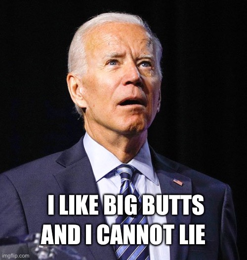 Joe Biden | AND I CANNOT LIE I LIKE BIG BUTTS | image tagged in joe biden | made w/ Imgflip meme maker