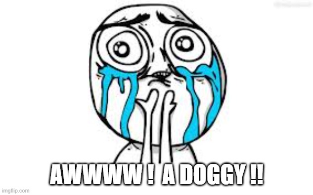 Crying Because Of Cute Meme | AWWWW !  A DOGGY !! | image tagged in memes,crying because of cute | made w/ Imgflip meme maker