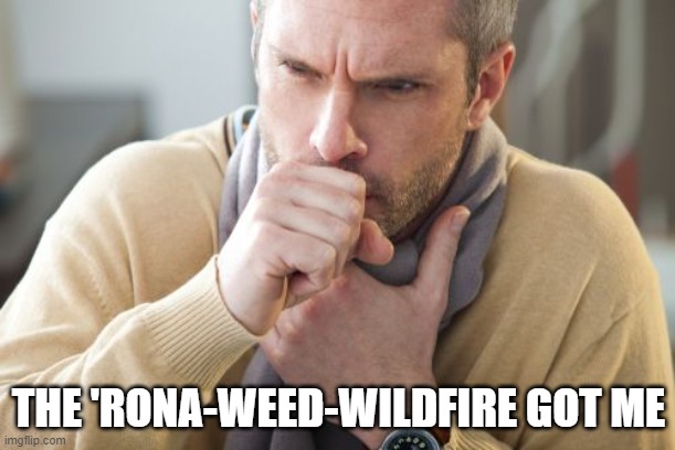 coughing man | THE 'RONA-WEED-WILDFIRE GOT ME | image tagged in coughing man | made w/ Imgflip meme maker