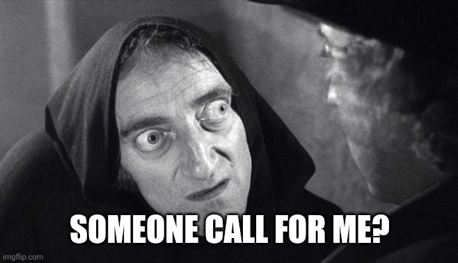 igor thorry | SOMEONE CALL FOR ME? | image tagged in igor thorry | made w/ Imgflip meme maker