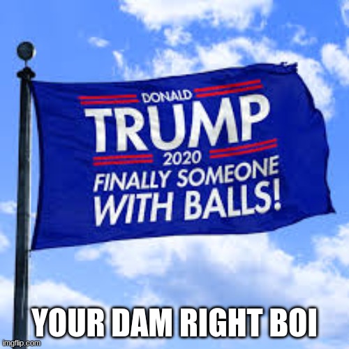 trump 2020 |  YOUR DAM RIGHT BOI | image tagged in trump 2020 | made w/ Imgflip meme maker