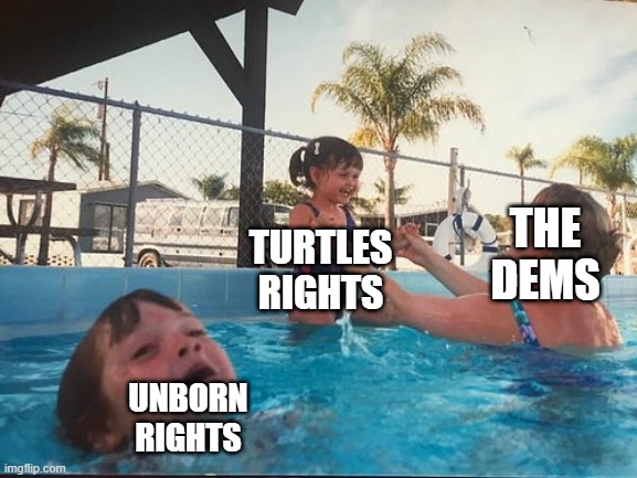 Civil rights dems | THE DEMS; TURTLES RIGHTS; UNBORN RIGHTS | image tagged in drowning kid in the pool,abortion,turtle,civil rights,democrats | made w/ Imgflip meme maker