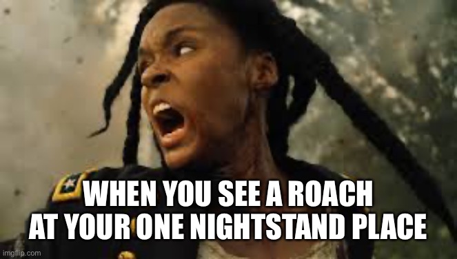 WHEN YOU SEE A ROACH AT YOUR ONE NIGHTSTAND PLACE | image tagged in funny,lol so funny,lol | made w/ Imgflip meme maker