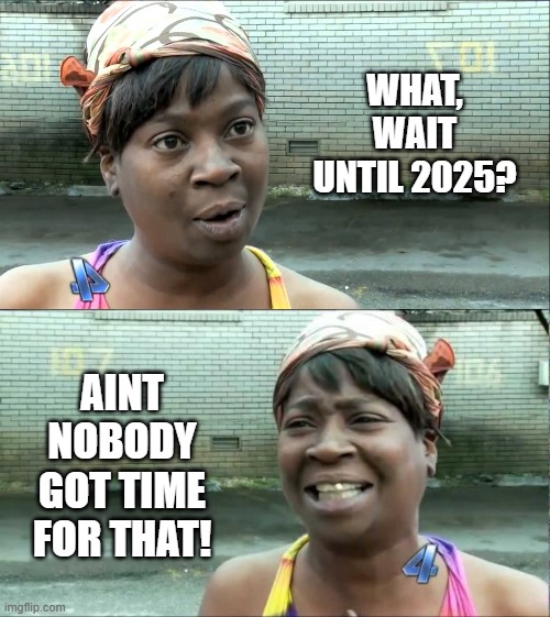 WHAT, WAIT UNTIL 2025? AINT NOBODY GOT TIME FOR THAT! | image tagged in ain't nobody got time for that,aint nobody got time | made w/ Imgflip meme maker