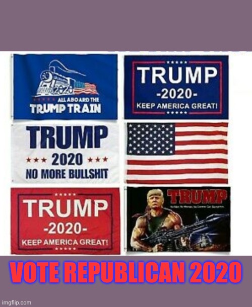 VOTE REPUBLICAN 2020 | made w/ Imgflip meme maker