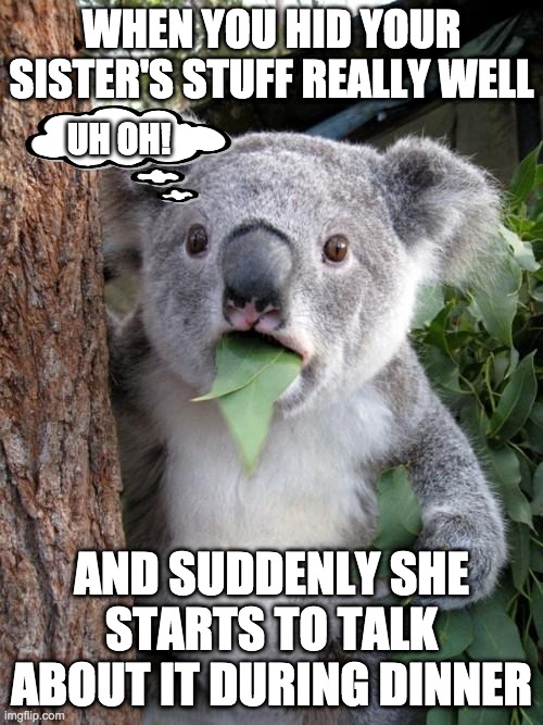 Uh Oh! | WHEN YOU HID YOUR SISTER'S STUFF REALLY WELL; UH OH! AND SUDDENLY SHE STARTS TO TALK ABOUT IT DURING DINNER | image tagged in memes,surprised koala | made w/ Imgflip meme maker