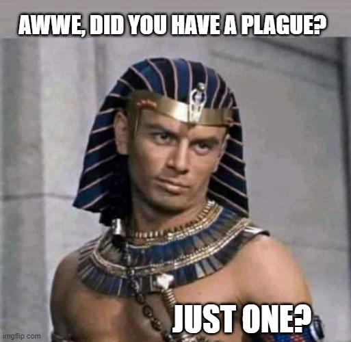 Plague? |  AWWE, DID YOU HAVE A PLAGUE? JUST ONE? | image tagged in pharaoh,plague,kids | made w/ Imgflip meme maker