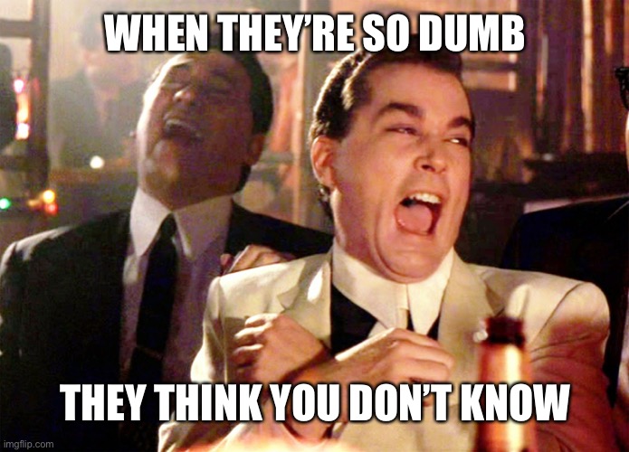 LoL | WHEN THEY’RE SO DUMB; THEY THINK YOU DON’T KNOW | image tagged in memes,good fellas hilarious | made w/ Imgflip meme maker