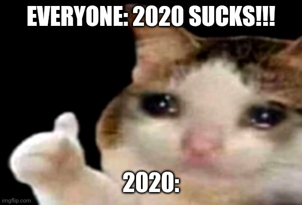 Sad cat thumbs up | EVERYONE: 2020 SUCKS!!! 2020: | image tagged in sad cat thumbs up | made w/ Imgflip meme maker