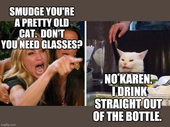Smudge the cat | SMUDGE YOU'RE A PRETTY OLD CAT.  DON'T YOU NEED GLASSES? NO KAREN.  I DRINK STRAIGHT OUT OF THE BOTTLE. | image tagged in smudge the cat | made w/ Imgflip meme maker