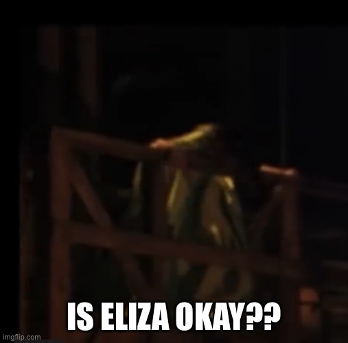 Is Eliza okay?? | IS ELIZA OKAY?? | image tagged in hamilton | made w/ Imgflip meme maker