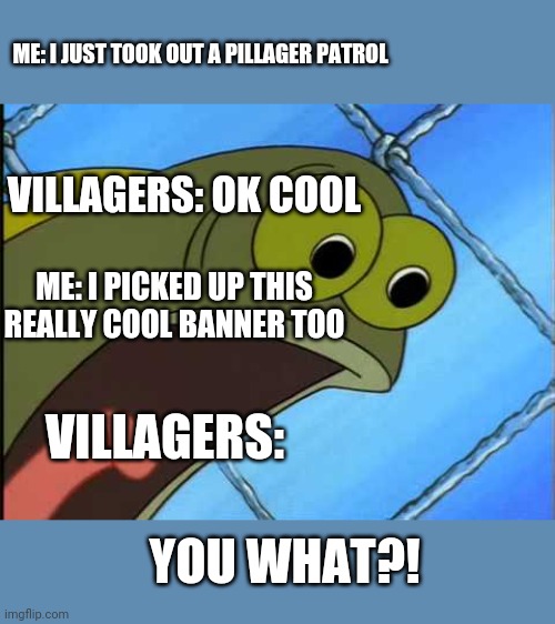 You what?! | ME: I JUST TOOK OUT A PILLAGER PATROL; VILLAGERS: OK COOL; ME: I PICKED UP THIS REALLY COOL BANNER TOO; VILLAGERS:; YOU WHAT?! | image tagged in you what | made w/ Imgflip meme maker