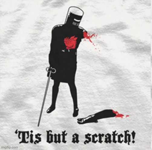 'Tis but a scratch! | image tagged in 'tis but a scratch,monty python,monty python and the holy grail,new template,reactions,reaction | made w/ Imgflip meme maker