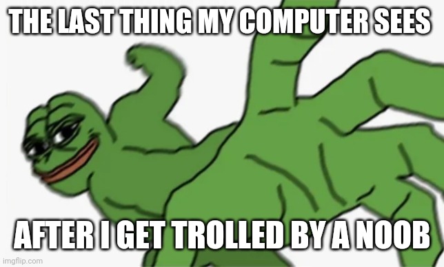pepe punch | THE LAST THING MY COMPUTER SEES; AFTER I GET TROLLED BY A NOOB | image tagged in pepe punch | made w/ Imgflip meme maker