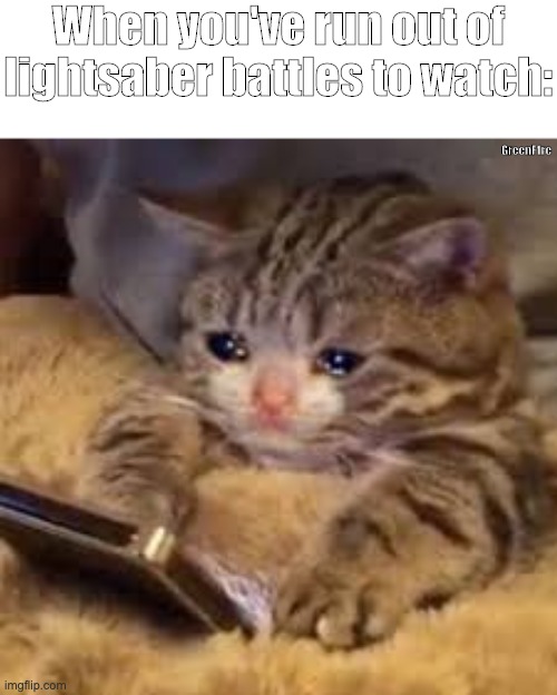 The struggle: | When you've run out of lightsaber battles to watch:; GreenF1re | image tagged in sad cat looking at phone,star wars,memes,funny memes | made w/ Imgflip meme maker