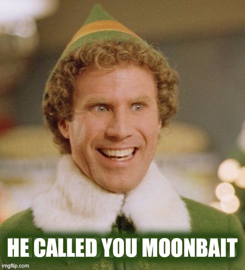 HE CALLED YOU MOONBAIT | image tagged in snitches get stitches | made w/ Imgflip meme maker