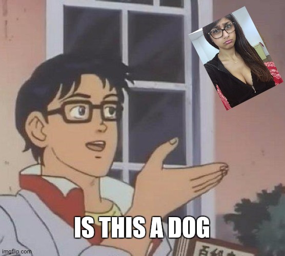 Is This A Pigeon | IS THIS A DOG | image tagged in memes,is this a pigeon | made w/ Imgflip meme maker