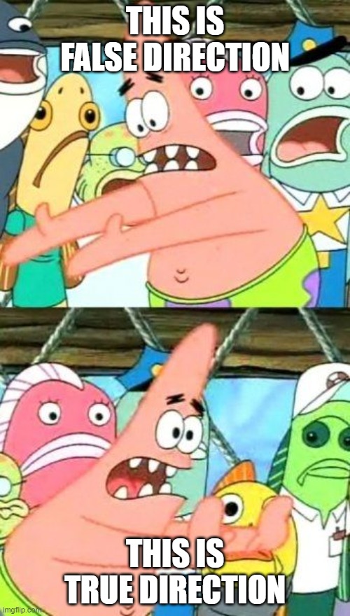 The good direction | THIS IS FALSE DIRECTION; THIS IS TRUE DIRECTION | image tagged in memes,put it somewhere else patrick | made w/ Imgflip meme maker