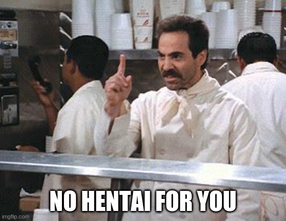 No for you | NO HENTAI FOR YOU | image tagged in no for you | made w/ Imgflip meme maker