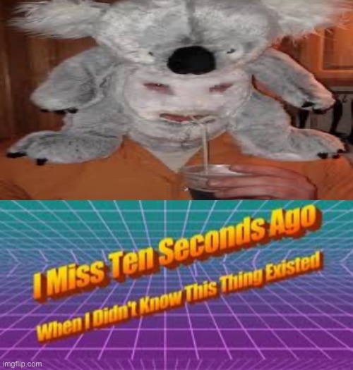 I don’t know- | image tagged in i miss ten seconds ago | made w/ Imgflip meme maker