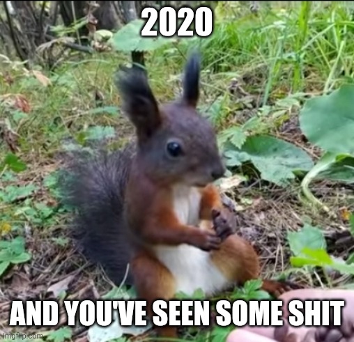 2020 | 2020; AND YOU'VE SEEN SOME SHIT | image tagged in 2020,in a nutshell | made w/ Imgflip meme maker