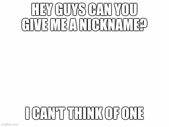 Please help | HEY GUYS CAN YOU GIVE ME A NICKNAME? I CAN'T THINK OF ONE | image tagged in blank white template | made w/ Imgflip meme maker