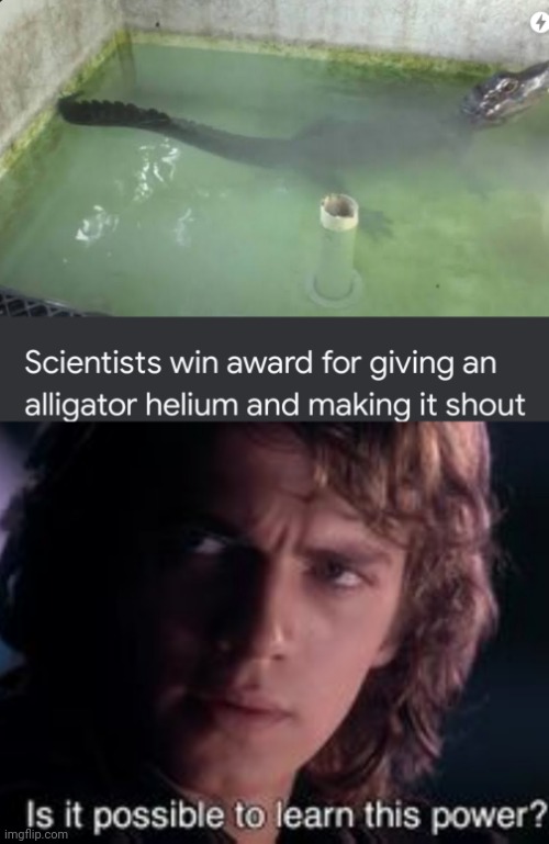 Also Fun Fact: helium doesn't make your voice higher, it just amplifies the higher notes in your voice. | image tagged in memes,funny memes,funny,latest,alligator,science | made w/ Imgflip meme maker