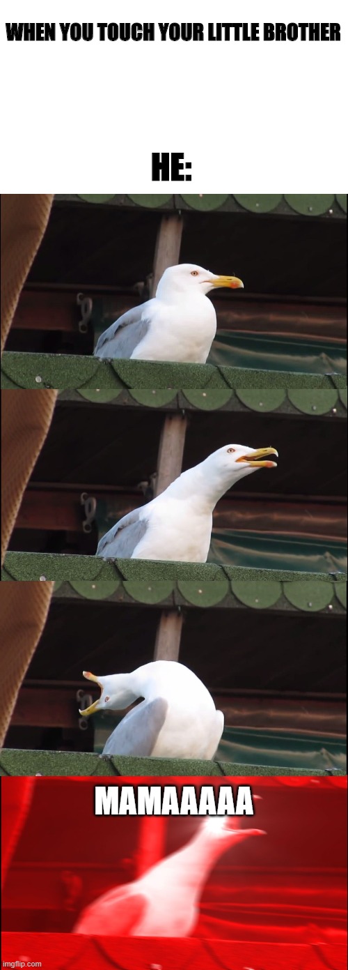 Inhaling Seagull | WHEN YOU TOUCH YOUR LITTLE BROTHER; HE:; MAMAAAAA | image tagged in memes,inhaling seagull | made w/ Imgflip meme maker