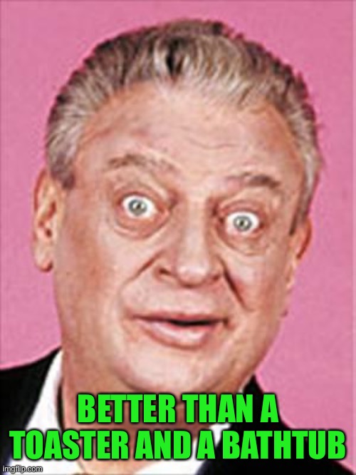 rodney dangerfield | BETTER THAN A TOASTER AND A BATHTUB | image tagged in rodney dangerfield | made w/ Imgflip meme maker