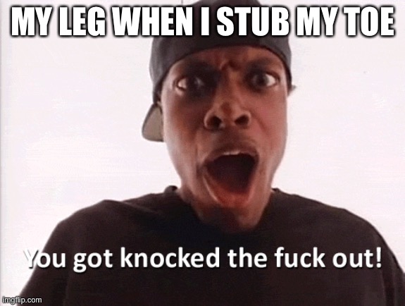 You just got knocked the F out! | MY LEG WHEN I STUB MY TOE | image tagged in you just got knocked the f out | made w/ Imgflip meme maker