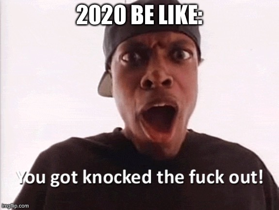 You just got knocked the F out! | 2020 BE LIKE: | image tagged in you just got knocked the f out | made w/ Imgflip meme maker