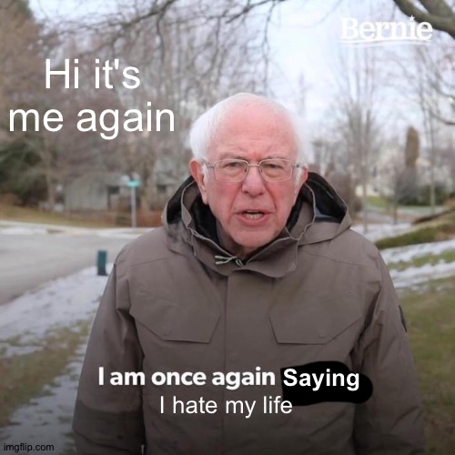 Don't ever say lol or lmao | Hi it's me again; Saying; I hate my life | image tagged in memes,bernie i am once again asking for your support | made w/ Imgflip meme maker