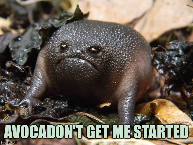 AVOCADON’T GET ME STARTED | made w/ Imgflip meme maker