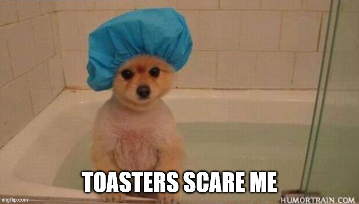 Doggo Bath Tub | TOASTERS SCARE ME | image tagged in doggo bath tub | made w/ Imgflip meme maker