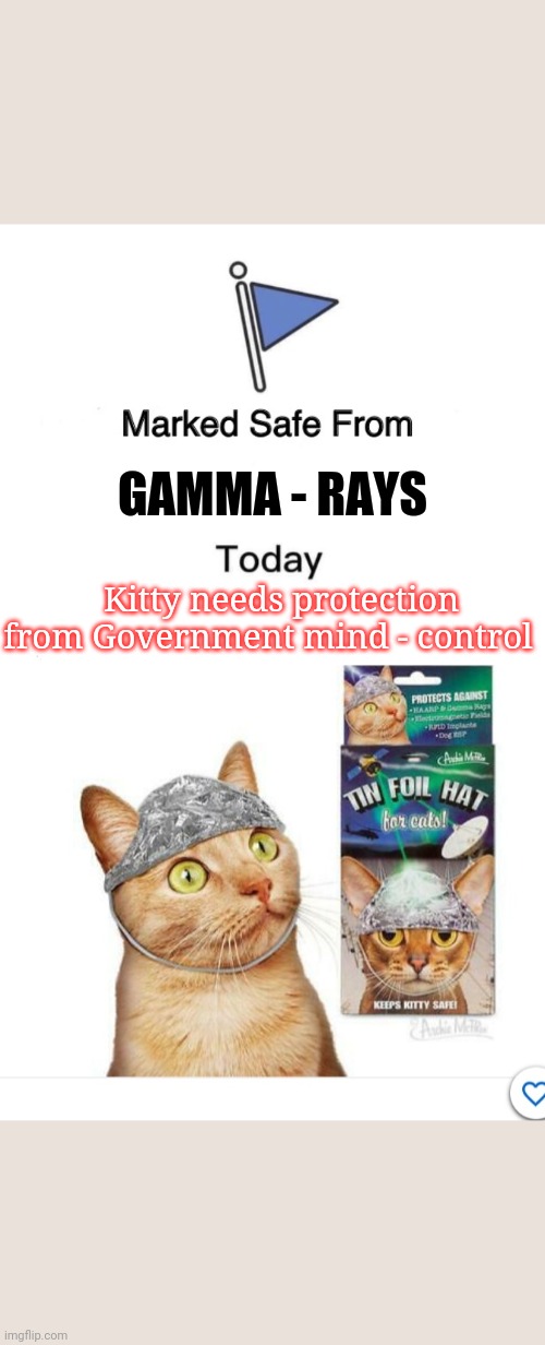 GAMMA - RAYS Kitty needs protection from Government mind - control | image tagged in memes,marked safe from | made w/ Imgflip meme maker