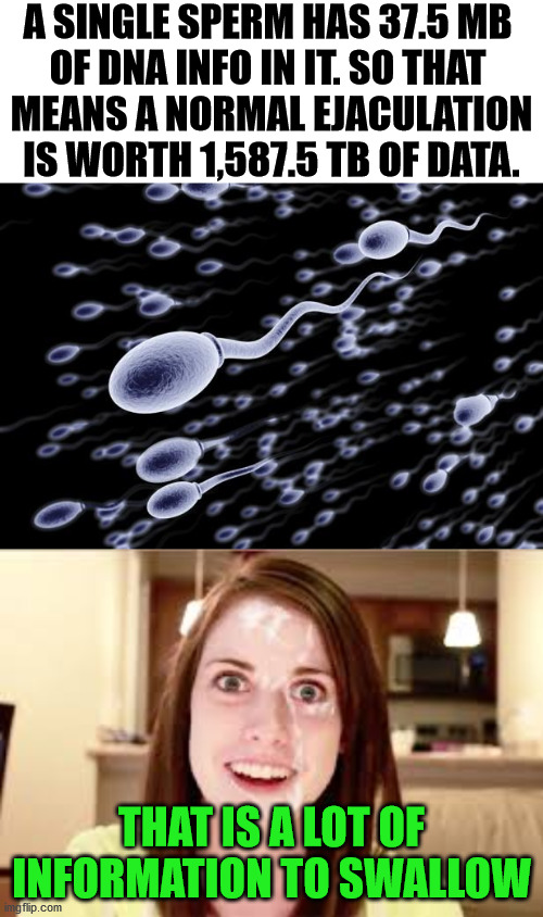 Information overload. | A SINGLE SPERM HAS 37.5 MB 
OF DNA INFO IN IT. SO THAT 
MEANS A NORMAL EJACULATION IS WORTH 1,587.5 TB OF DATA. THAT IS A LOT OF INFORMATION TO SWALLOW | image tagged in sperm swimming,oral medications | made w/ Imgflip meme maker
