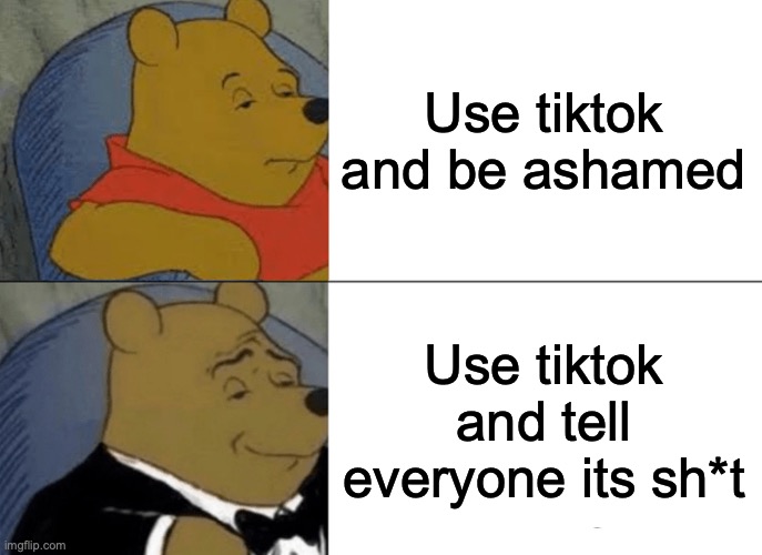 98% of the world. | Use tiktok and be ashamed; Use tiktok and tell everyone its sh*t | image tagged in memes,tuxedo winnie the pooh,tiktok | made w/ Imgflip meme maker