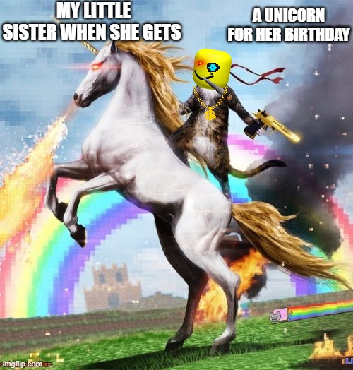 Welcome To The Internets | MY LITTLE SISTER WHEN SHE GETS; A UNICORN FOR HER BIRTHDAY | image tagged in memes,welcome to the internets | made w/ Imgflip meme maker