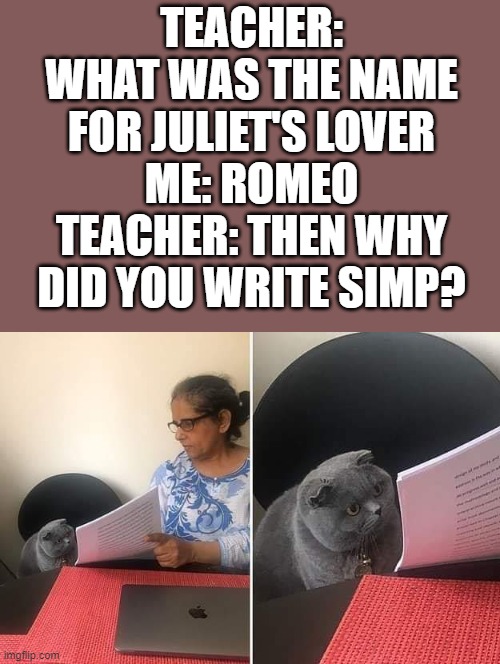 Well he was a simp. | TEACHER: WHAT WAS THE NAME FOR JULIET'S LOVER
ME: ROMEO
TEACHER: THEN WHY DID YOU WRITE SIMP? | image tagged in showing paper to cat | made w/ Imgflip meme maker